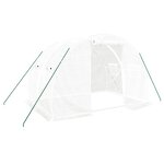 vidaXL Serre avec cadre en acier blanc 6 m² 3x2x2 m