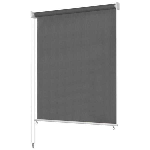 vidaXL Store roulant d'extérieur 160 x 230 cm Anthracite