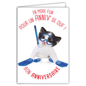 Carte Bon Anniversaire Humoristique avec Enveloppe Illustrée format 17 5x12cm Chat Fun Drôle Amusant Rigolo avec palmes et tuba pour la mer ou la piscine - Création Fabrication française 69-6205