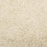 vidaXL Tapis shaggy PAMPLONA poils longs moderne doré 80x200 cm