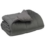 vidaXL Duvet d'hiver 200 x 220 cm Hiver Microfibre (100  polyester)