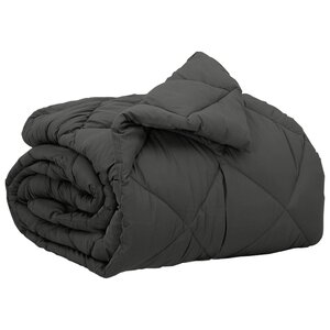 vidaXL Duvet complet toute l'année Anthracite 200 x 155 cm Microfibre