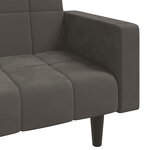 vidaXL Canapé-lit à 2 places avec deux oreillers Gris foncé Velours