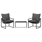 vidaXL Ensemble de canapé de jardin 3 Pièces Noir et anthracite Acier