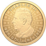 Monnaie MAPLE LEAF Ultra High Relief 1 Oz Or 200$ Canada 2026 (PRÉCOMMANDE)