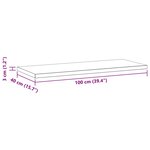 vidaXL Étagères murales 2 Pièces 100x40x3 cm noir acier inoxydable
