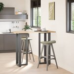 vidaXL Pieds de table de bar en forme de T  2 pièces  anthracite  50 x 35 x (110-111) cm  acier