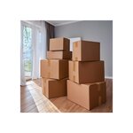 Pack and Move - Lot 6 rouleaux ruban adhésif marron pour emballage et déménagement - 66 m - Qualité Premium