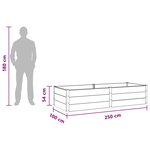 vidaXL Jardinière surélevée Noir 250 x 100 x 54 cm WPC et Aluminium