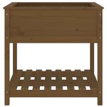 vidaXL Jardinière avec étagère Marron miel 82 5x82 5x81 cm Bois de pin
