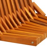 vidaXL Chaises de Jardin Pliantes 2 Pièces Bois Acacia