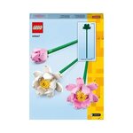 LEGO Botanicals - Set de Construction Fleurs de Lotus - 40647