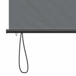 vidaXL Store enrouleur Gris clair 120 x 250 cm Tissu et Aluminium