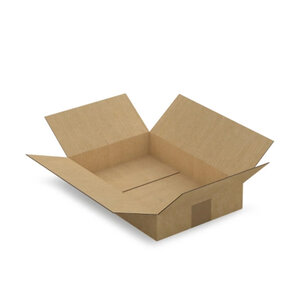 Carton d'emballage 31 x 21.5 x 5.5 cm - Simple cannelure