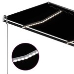 vidaXL Auvent manuel rétractable avec LED 300x250 cm Anthracite