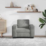 vidaXL Fauteuil Gris clair 100x77x82 cm Velours