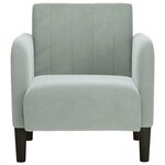 vidaXL Fauteuil avec accoudoirs gris clair 54 cm velours