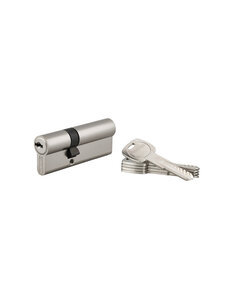 THIRARD - Cylindre de serrure double entrée Trafic 6  30x50mm  anti-arrachement  anti-perçage  nickel  fonction urgence 5 clés - THIRARD