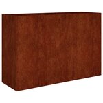 vidaXL Lit surélevé de jardin 120x40x80 cm acier corten