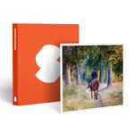 SMARTBOX - Coffret Cadeau Leçon d'équitation ou agréable balade à cheval -  Sport & Aventure