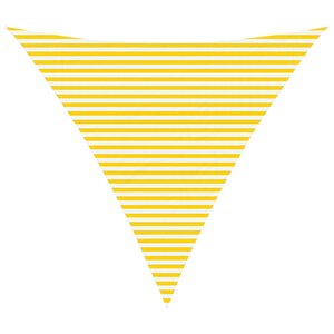 vidaXL Voile d'ombre 6 x 6 x 6 m 100   polyester Oxford Triangulaire