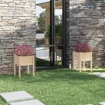 vidaXL Jardinières d'extérieur 2 Pièces 50x50x70 cm bois de pin massif
