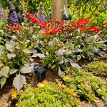 Kit de démarrage d'arrosage connecté Smart Sensor Control de GARDENA
