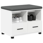 vidaXL Banc d'entrée avec coussin avec tiroir Blanc 60 x 38 x 46 cm