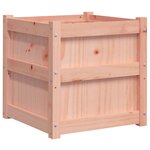 vidaXL Jardinières 2 Pièces bois massif douglas
