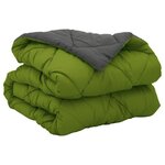 vidaXL Duvet complet toute l'année Vert et Anthracite 200 x 155 cm