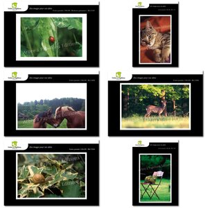 Lot de 6 cartes postales - animaux 1 - photos frédéric engel