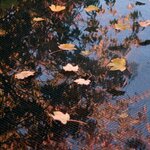 Ubbink Filet de couverture de bassin PE 3x4 m