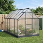 vidaXL Serre de jardin avec porte Anthracite 183 5 x 363 5 x 207 cm