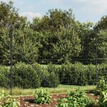 vidaXL Clôture en treillis métallique et ancrage anthracite 1 6x25 m
