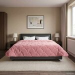 vidaXL Duvet d'hiver 220 x 260 cm Hiver Rose Respirant