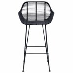 vidaXL Chaise de bar 2 Pièces Noir 55 x 52 x 92 cm Rotin et métal