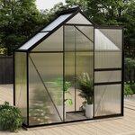 vidaXL Serre Anthracite Aluminium 1 33 m²