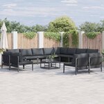 vidaXL Ensemble de canapé de jardin 12 Pièces Anthracite Acier