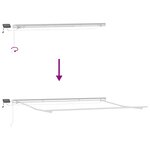 vidaXL Auvent manuel rétractable avec LED anthracite blanc 500x300 cm