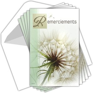 Lot 5 cartes remerciements condoléances +5 enveloppes blanches format 9x14cm