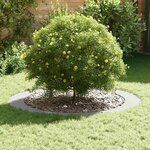 vidaXL adapté pour anneau d'arbre plat Blanc Ø90 / 120 cm Acier