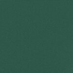 vidaXL Auvent latéral rétractable vert foncé 220x300 cm