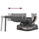 vidaXL Étau inclinable à 2 axes 100 mm