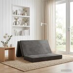 vidaXL Canapé-lit pliable 180 x 67 x 45 cm Gris clair