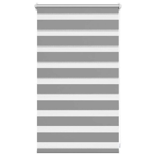 vidaXL Store 50x100 cm Gris