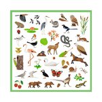 Djeco DJ09285 - Tattoos : Le monde des animaux