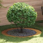 vidaXL adapté pour anneau d'arbre plat Marron Ø90 / 120 cm Acier Corten