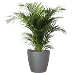 ARTEVASI - Pot san remo mate 36cm auto-arrosage anthracite 36 x 36 x h33,5 cm - 1,44l