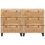 vidaXL Buffet 2 Pièces Marron 60 x 33 x 75 cm Bois de mangue massif