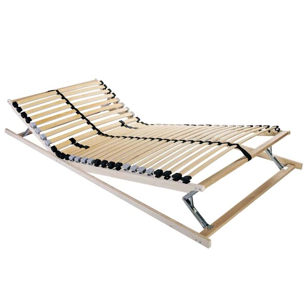 vidaXL Sommier à lattes Marron 120 x 190 cm Bois de hêtre massif